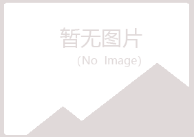 灵台县紫山建设有限公司